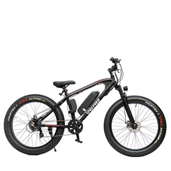 Fat E-Cycyle